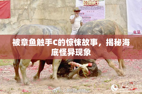 被章鱼触手C的惊悚故事，揭秘海底怪异现象