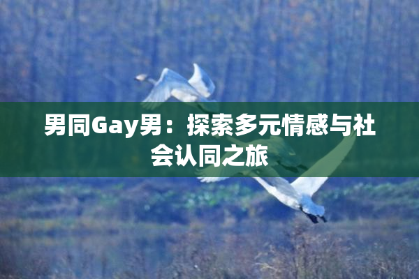 男同Gay男：探索多元情感与社会认同之旅