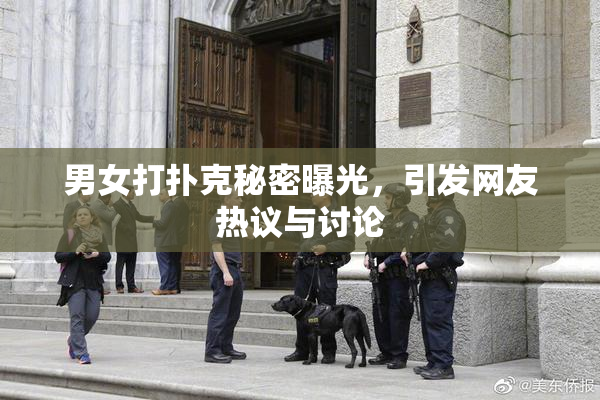 男女打扑克秘密曝光，引发网友热议与讨论