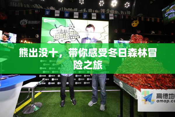 熊出没十，带你感受冬日森林冒险之旅