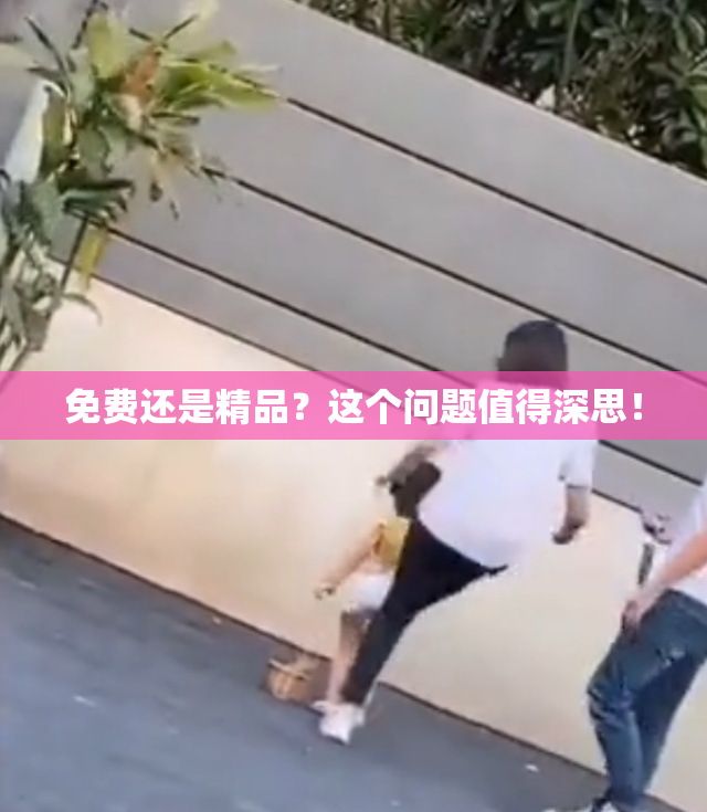 免费还是精品？这个问题值得深思！