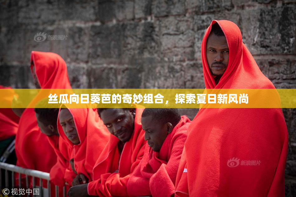 丝瓜向日葵芭的奇妙组合，探索夏日新风尚