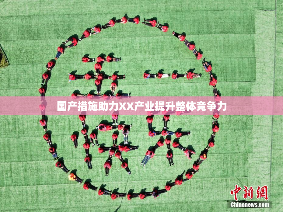 国产措施助力XX产业提升整体竞争力
