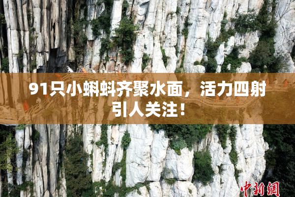 91只小蝌蚪齐聚水面，活力四射引人关注！