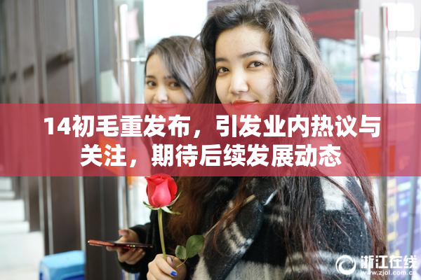 14初毛重发布，引发业内热议与关注，期待后续发展动态