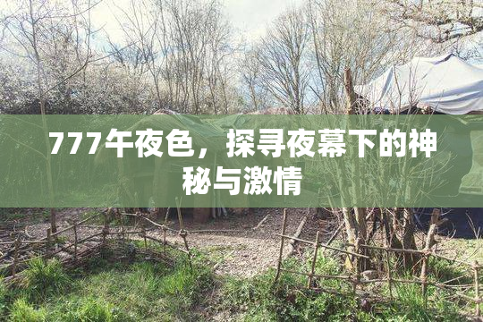 777午夜色，探寻夜幕下的神秘与激情
