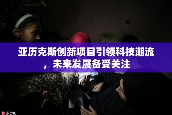 亚历克斯创新项目引领科技潮流，未来发展备受关注