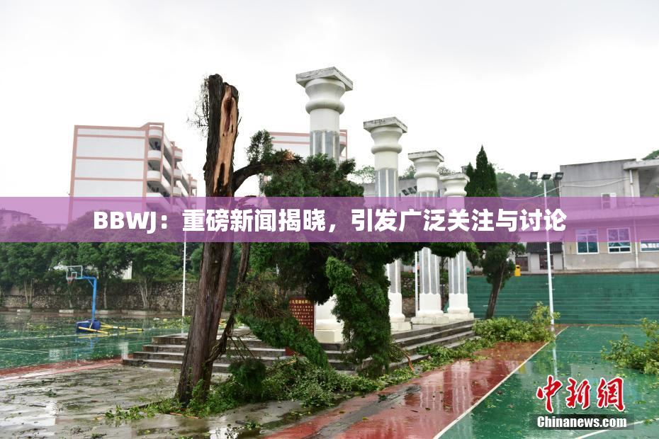BBWJ：重磅新闻揭晓，引发广泛关注与讨论