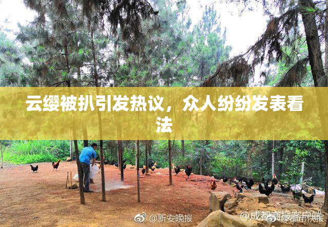 云缨被扒引发热议，众人纷纷发表看法