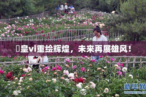 嘼皇vi重绘辉煌，未来再展雄风！