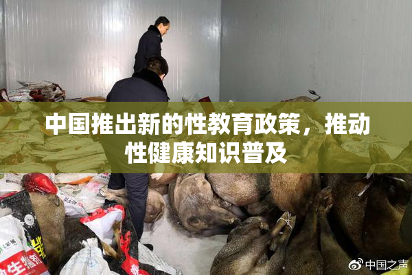 中国推出新的性教育政策，推动性健康知识普及