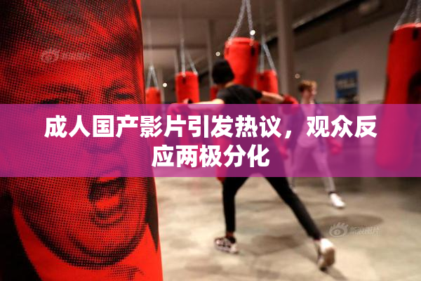 成人国产影片引发热议，观众反应两极分化