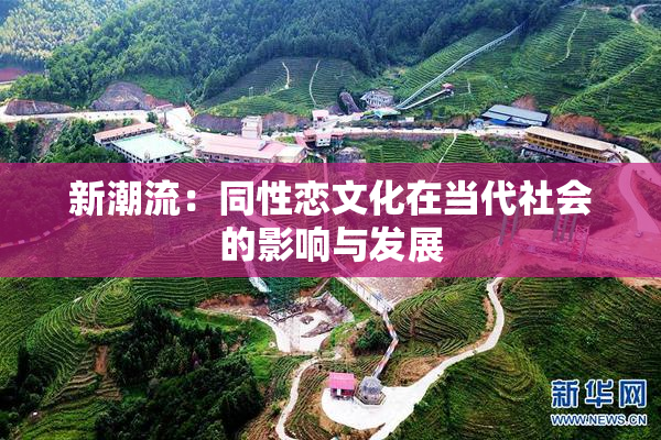 新潮流：同性恋文化在当代社会的影响与发展
