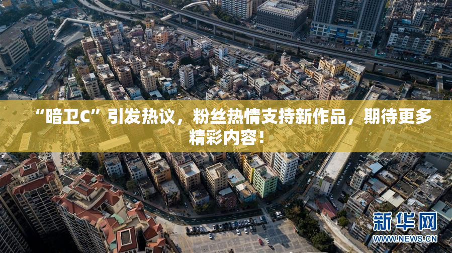 “暗卫C”引发热议，粉丝热情支持新作品，期待更多精彩内容！