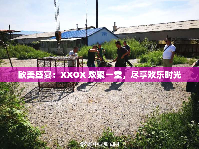 欧美盛宴：XXOX 欢聚一堂，尽享欢乐时光