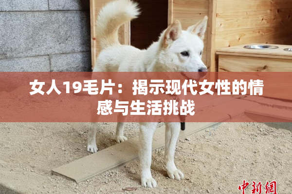 女人19毛片：揭示现代女性的情感与生活挑战