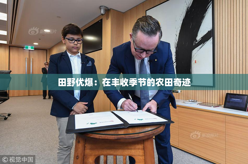 田野优爆：在丰收季节的农田奇迹
