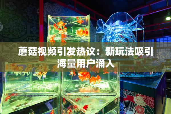 蘑菇视频引发热议：新玩法吸引海量用户涌入
