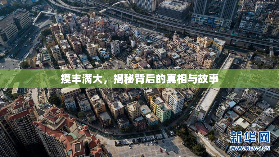 摸丰满大，揭秘背后的真相与故事