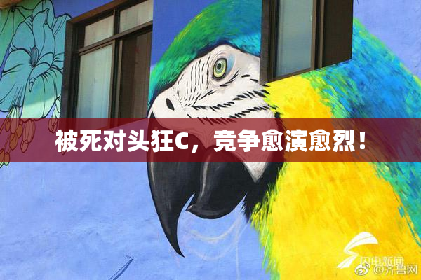 被死对头狂C，竞争愈演愈烈！