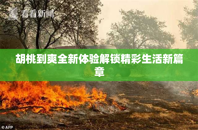 胡桃到爽全新体验解锁精彩生活新篇章