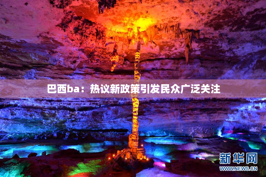 巴西ba：热议新政策引发民众广泛关注