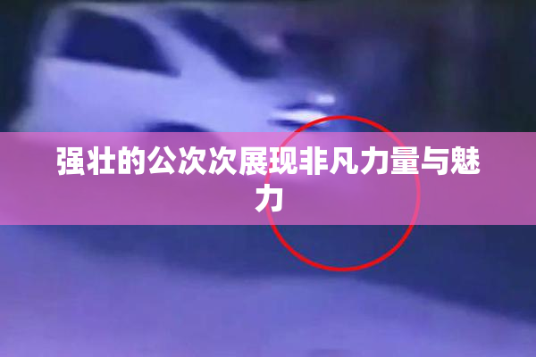 强壮的公次次展现非凡力量与魅力