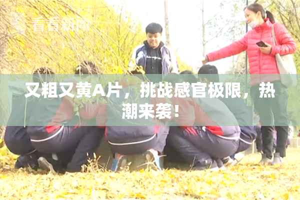 又粗又黄A片，挑战感官极限，热潮来袭！