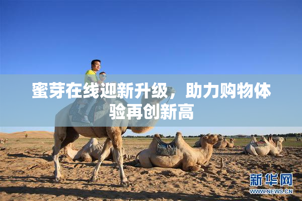 蜜芽在线迎新升级，助力购物体验再创新高
