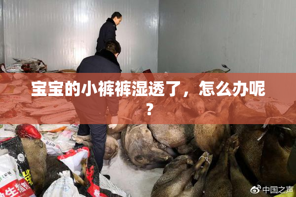 宝宝的小裤裤湿透了，怎么办呢？