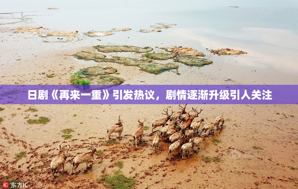 日剧《再来一重》引发热议，剧情逐渐升级引人关注