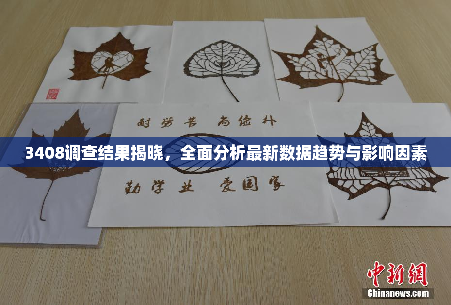 3408调查结果揭晓，全面分析最新数据趋势与影响因素
