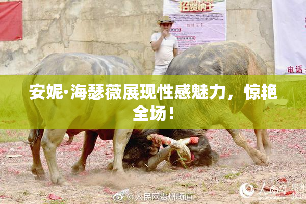 安妮·海瑟薇展现性感魅力，惊艳全场！