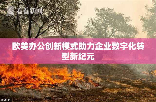 欧美办公创新模式助力企业数字化转型新纪元
