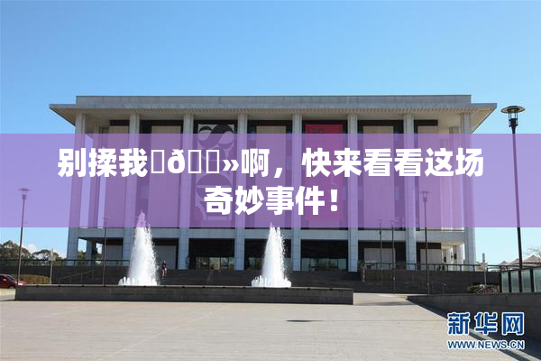 别揉我‌🐻啊，快来看看这场奇妙事件！