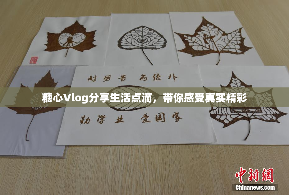 糖心Vlog分享生活点滴，带你感受真实精彩