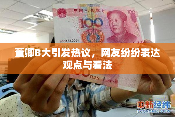 董卿B大引发热议，网友纷纷表达观点与看法