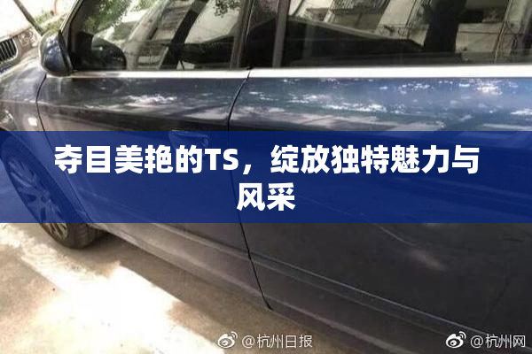 夺目美艳的TS，绽放独特魅力与风采