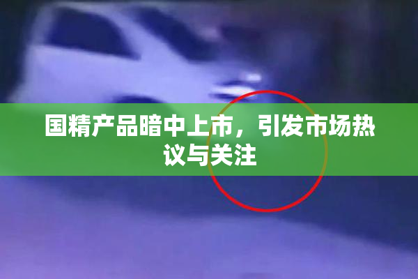 国精产品暗中上市，引发市场热议与关注