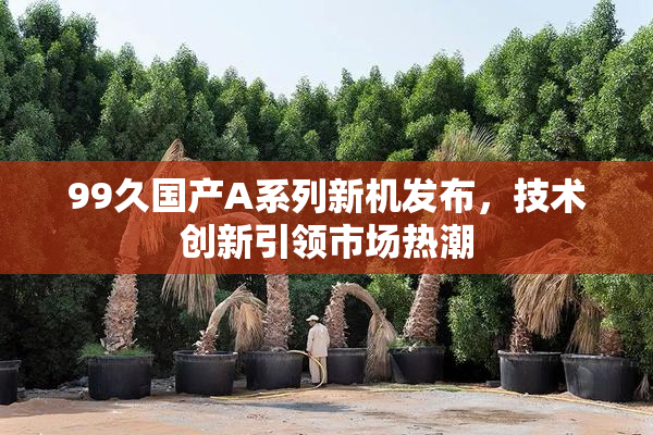 99久国产A系列新机发布，技术创新引领市场热潮