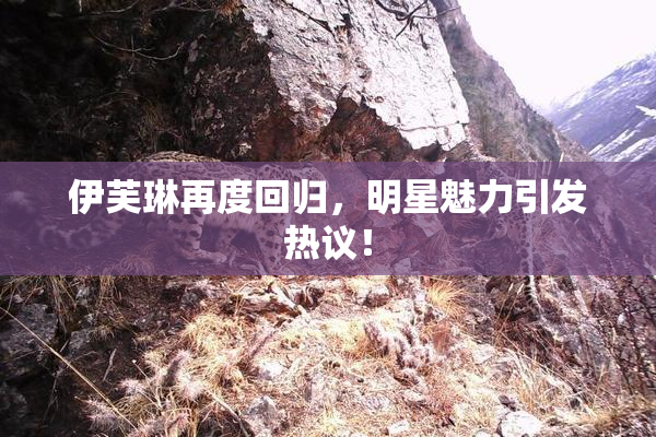 伊芙琳再度回归，明星魅力引发热议！