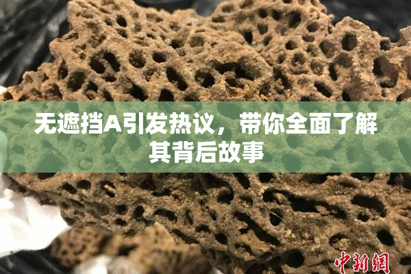 无遮挡A引发热议，带你全面了解其背后故事