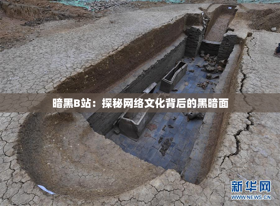 暗黑B站：探秘网络文化背后的黑暗面