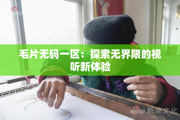 毛片无码一区：探索无界限的视听新体验