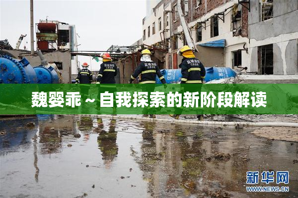 魏婴乖～自我探索的新阶段解读