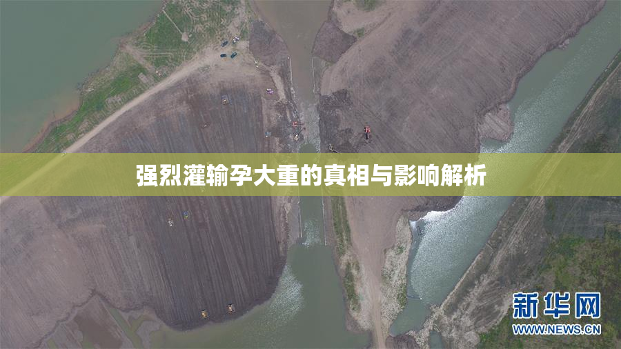 强烈灌输孕大重的真相与影响解析
