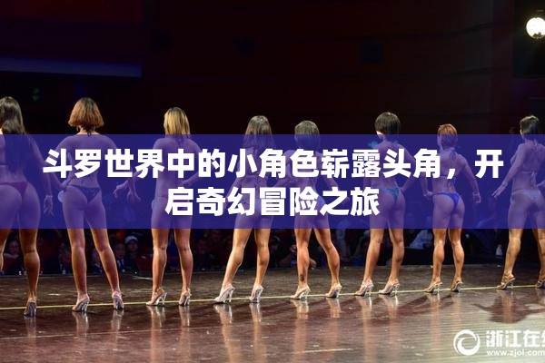 斗罗世界中的小角色崭露头角，开启奇幻冒险之旅