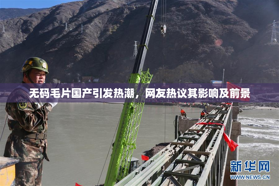 无码毛片国产引发热潮，网友热议其影响及前景