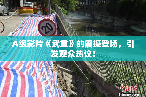 A级影片《武重》的震撼登场，引发观众热议！