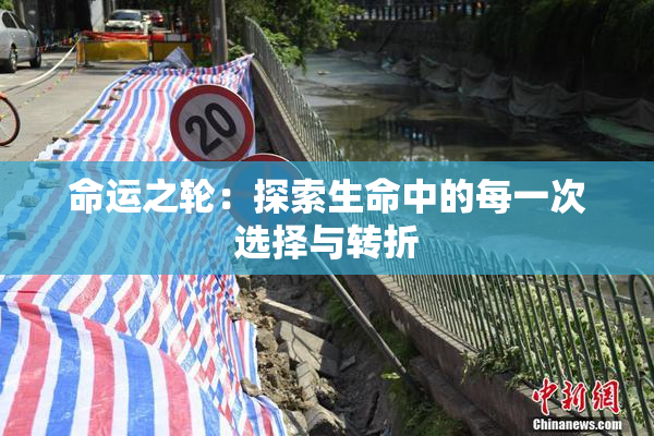 命运之轮：探索生命中的每一次选择与转折